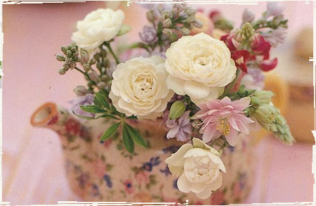 2019年度　基礎過程 キャリア