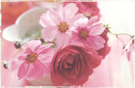 2019年度　基礎過程 プライマリー