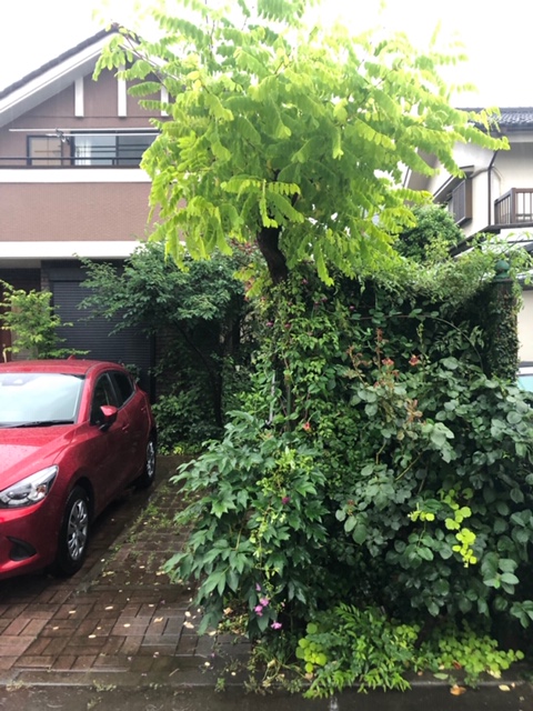 小金井市H邸